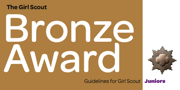 Bronze Award - Crystal Falls Service Unit